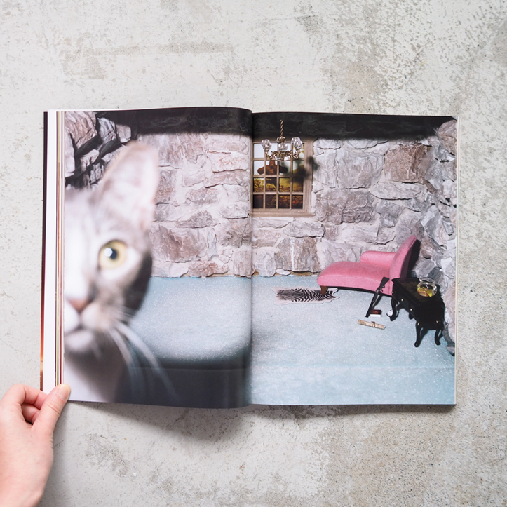 Catnip Magazine Vol.2