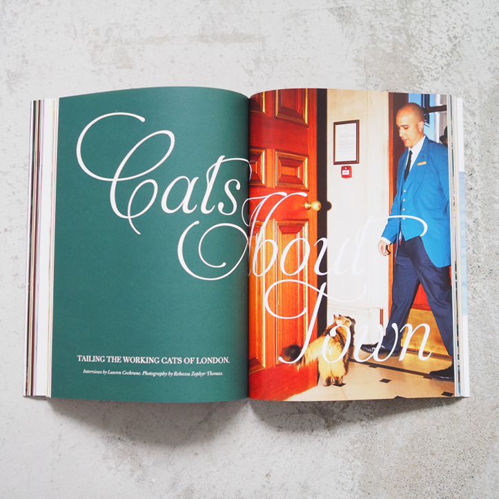 Catnip Magazine Vol.2