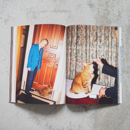 Catnip Magazine Vol.2