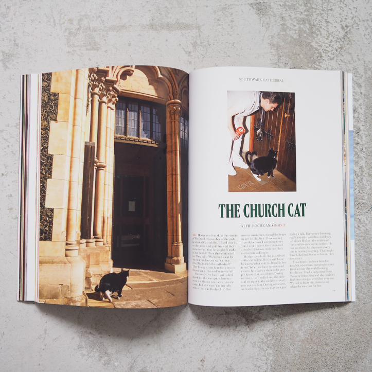 Catnip Magazine Vol.2