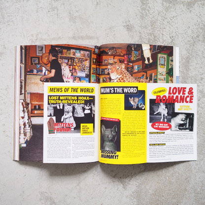 Catnip Magazine Vol.2