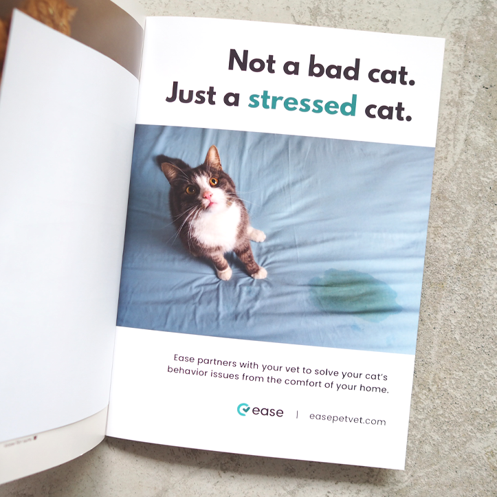 Catnip Magazine Vol.2