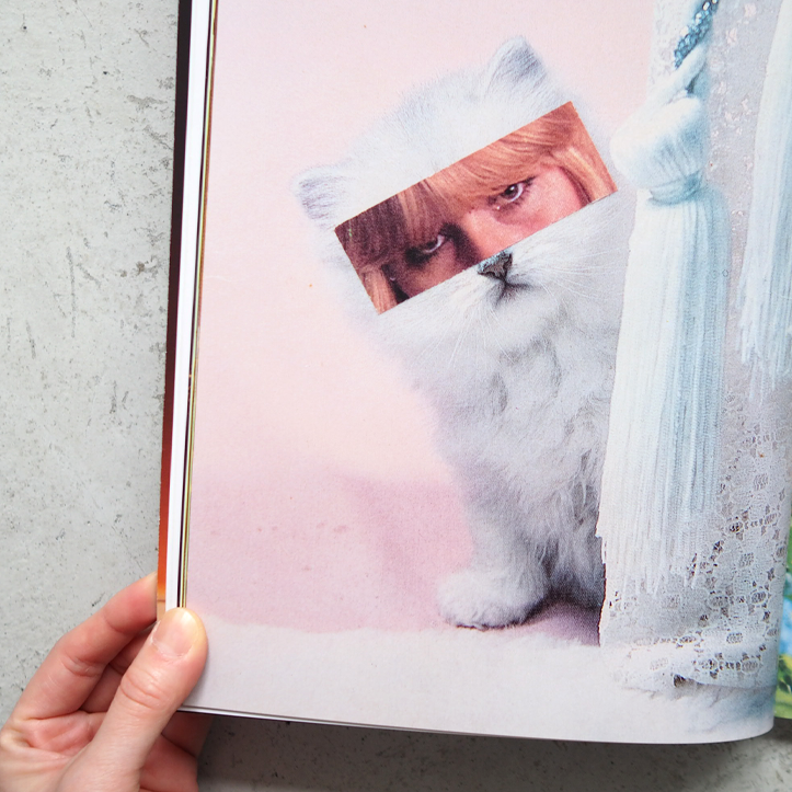 Catnip Magazine（キャットニップマガジン）Vol.2 / Broccoli Magazine