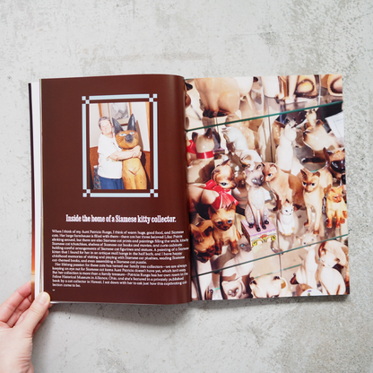 Catnip Magazine Vol.2