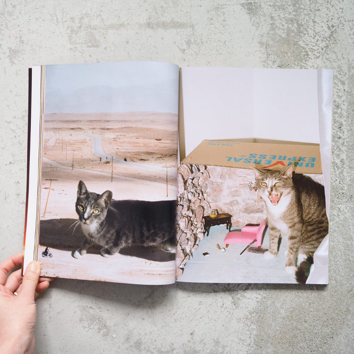Catnip Magazine Vol.2