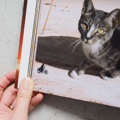 Catnip Magazine Vol.2