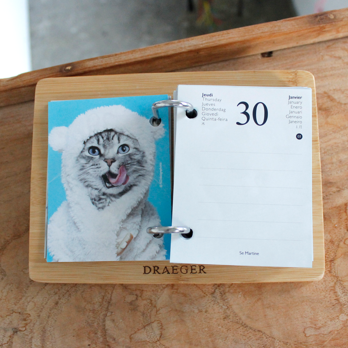 CATS 2025 Daily Calendar