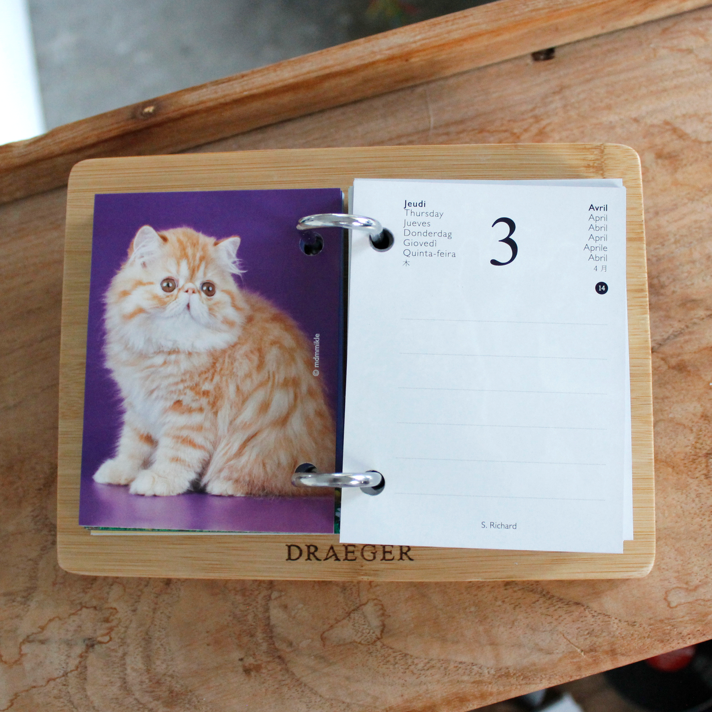 CATS 2025 Daily Calendar