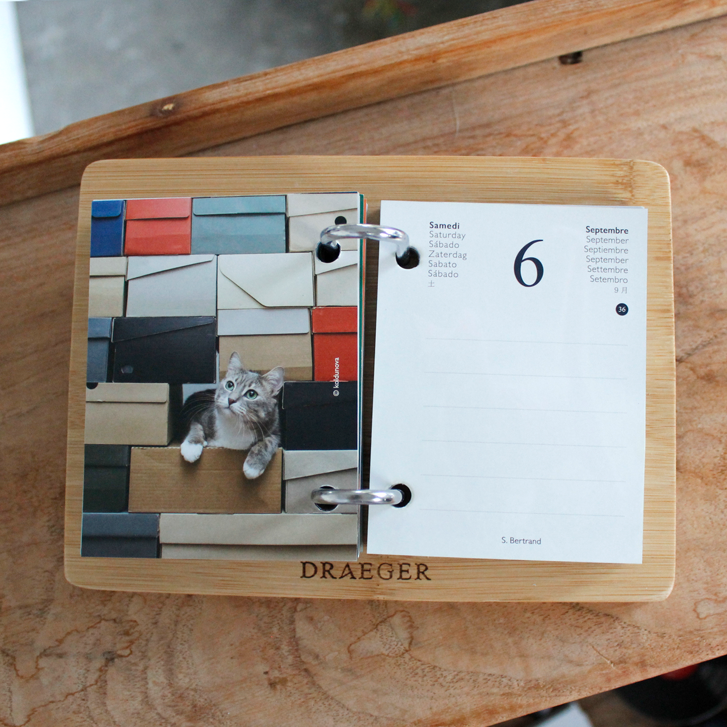 CATS 2025 Daily Calendar