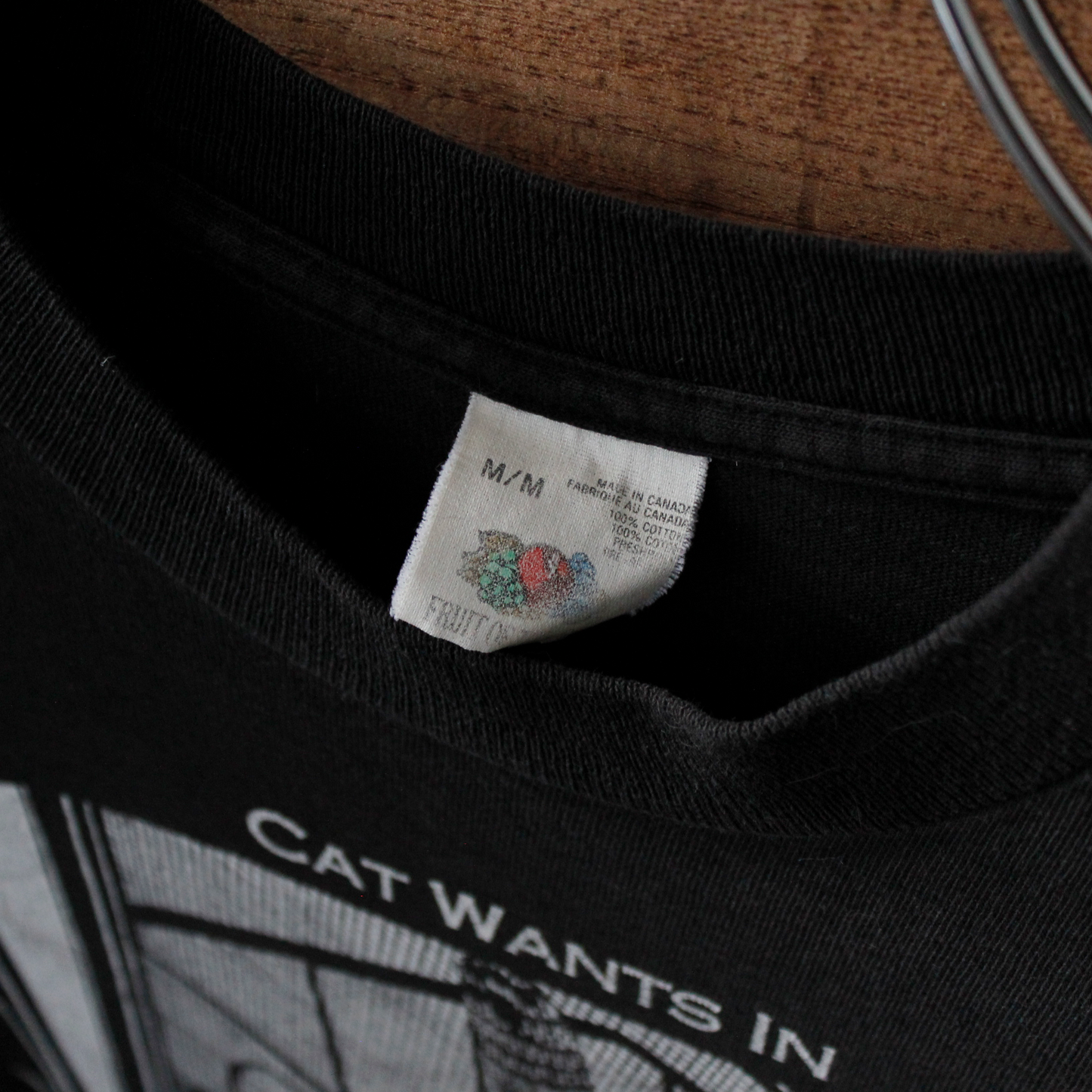 Cat Wants In, Cat Wants Out Tee / 80s- / STUART KATT / Made in Canada