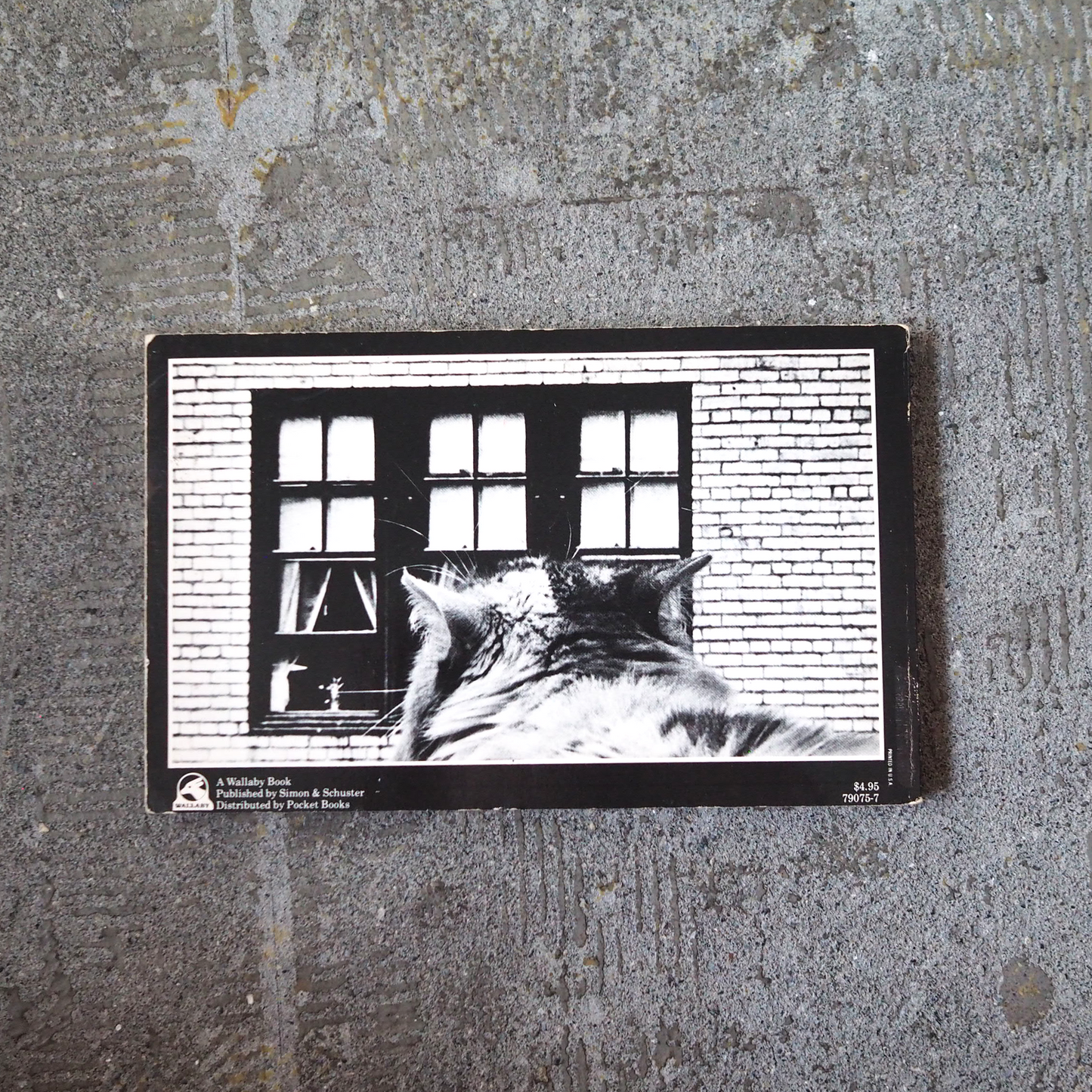 Cat Tales (1979) / Vintage Book