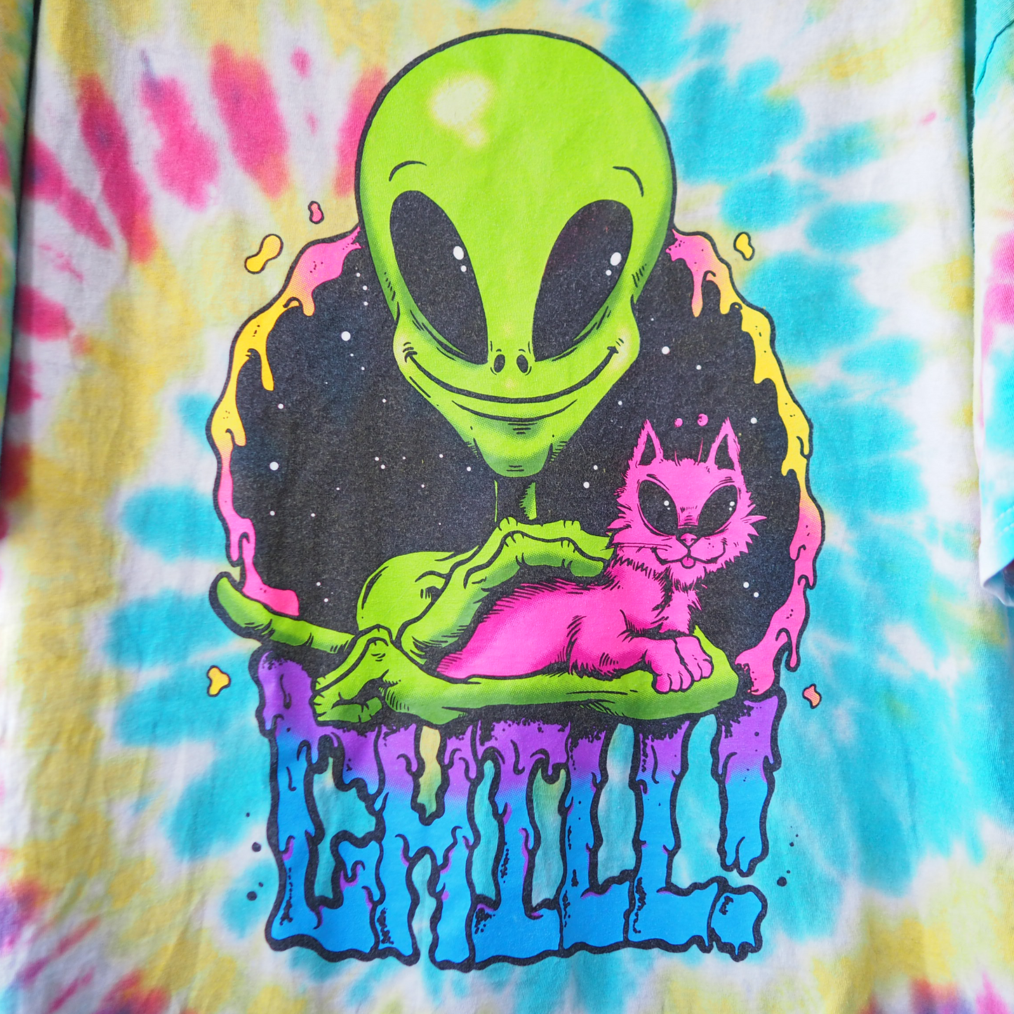 Alian & Cat Chill Tee / 2010s-