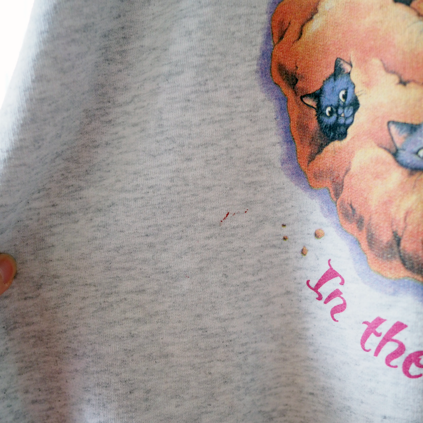 HEP CAT Chocolate Chip Cookie Sweat / 90s