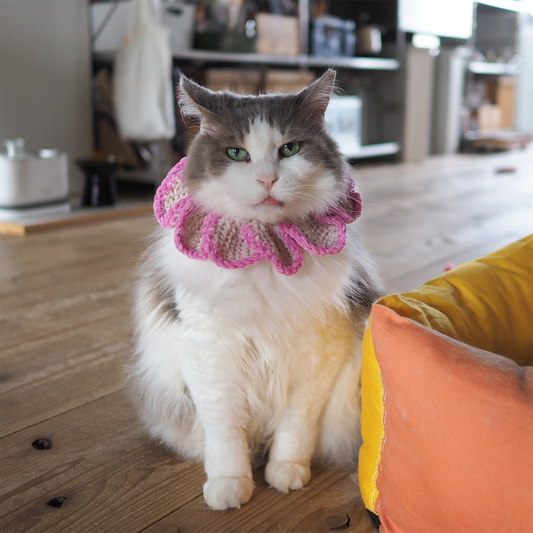 Paracord & Knit Collar🌼
