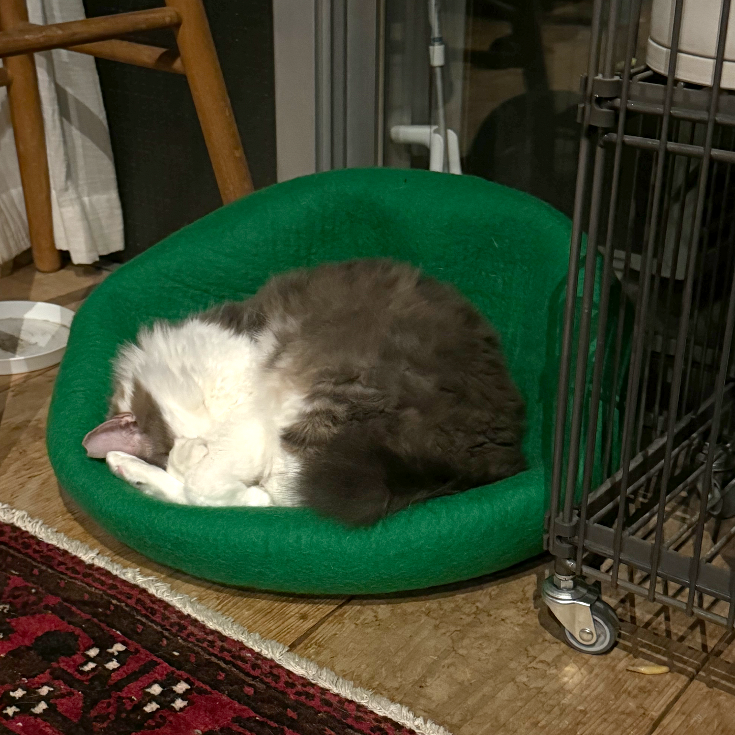 【在庫限りで生産終了】CAT DOME