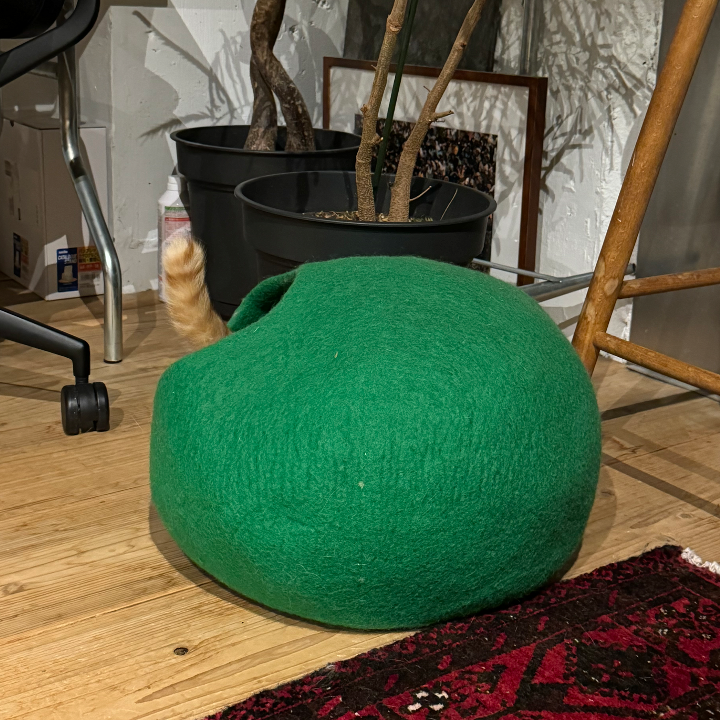 【在庫限りで生産終了】CAT DOME
