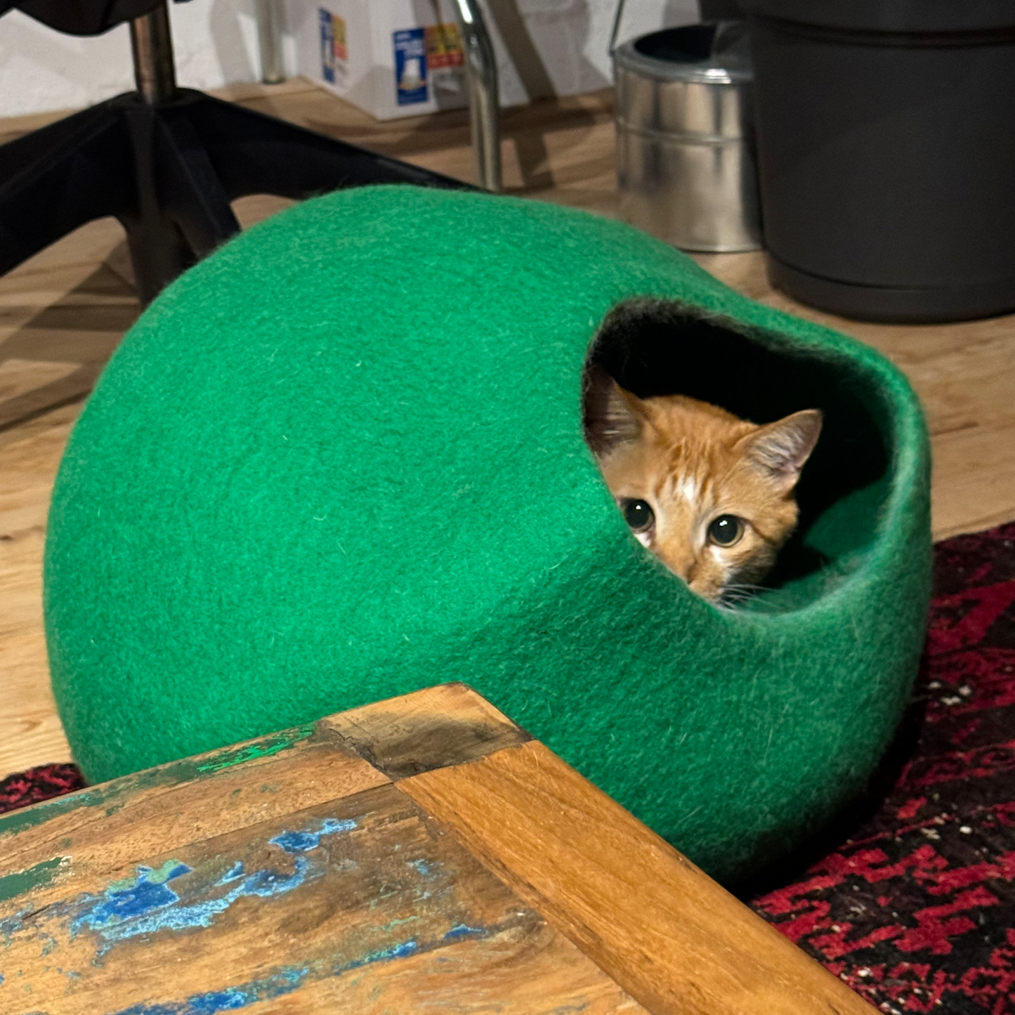 【在庫限りで生産終了】CAT DOME