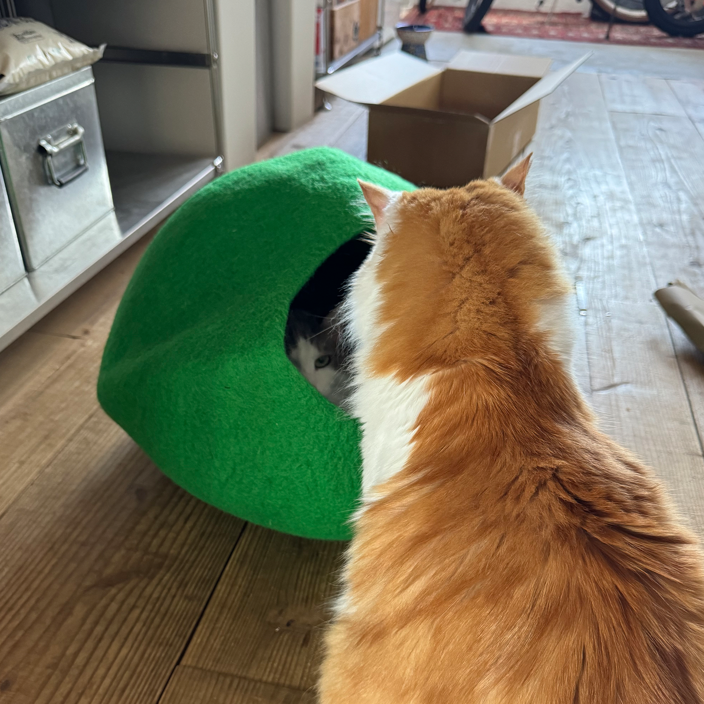 【在庫限りで生産終了】CAT DOME