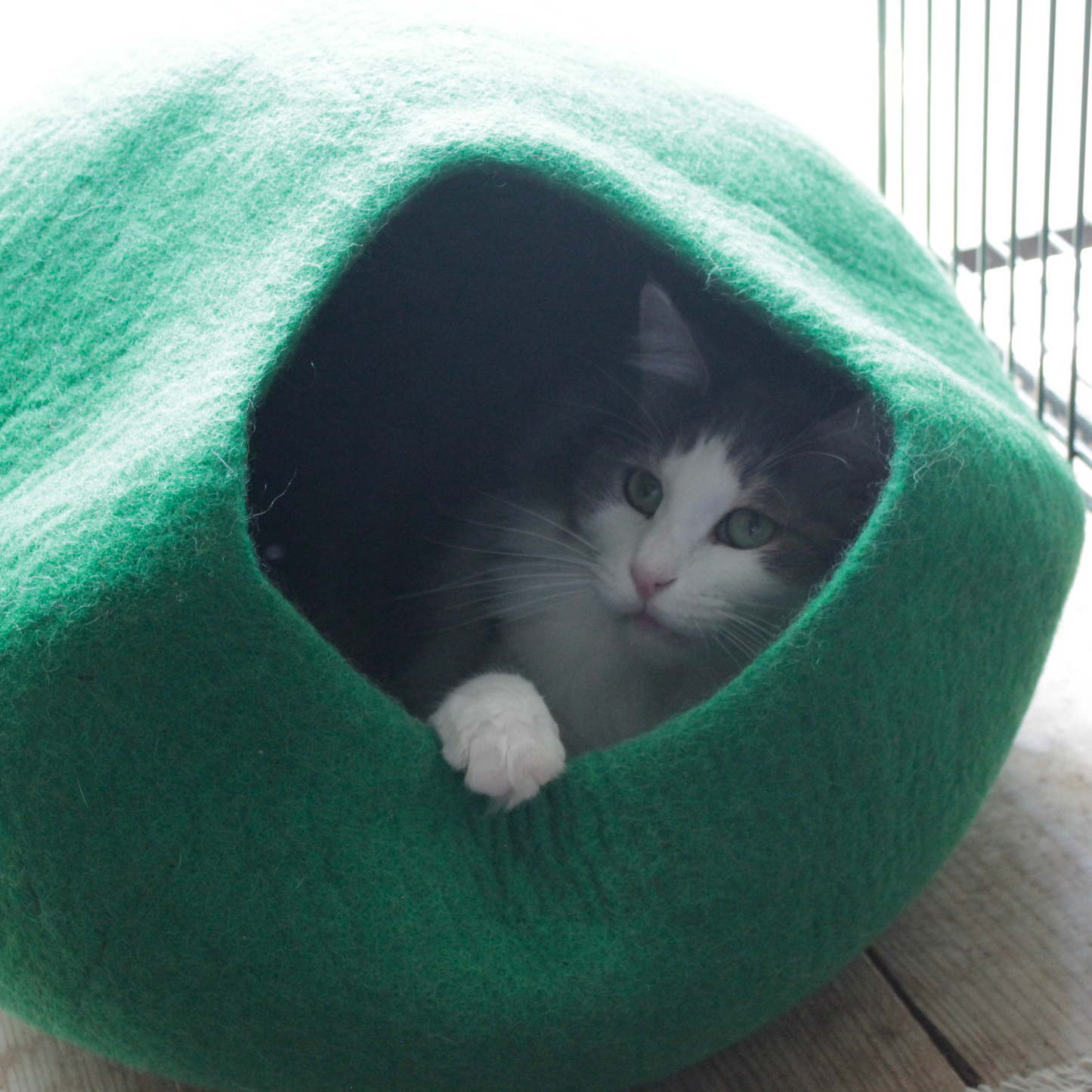 【在庫限りで生産終了】CAT DOME