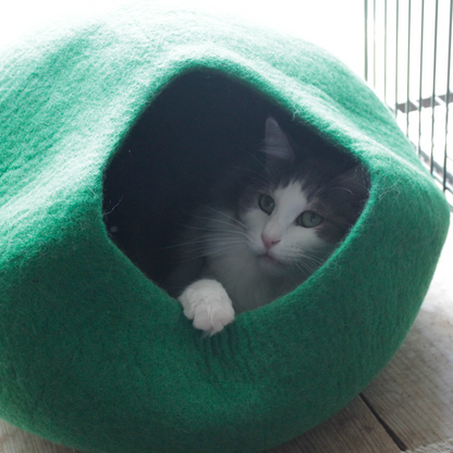 【在庫限りで生産終了】CAT DOME
