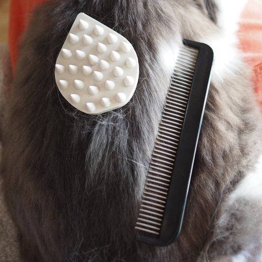 【OUTLET品】CAT SPA / SPIN COMB