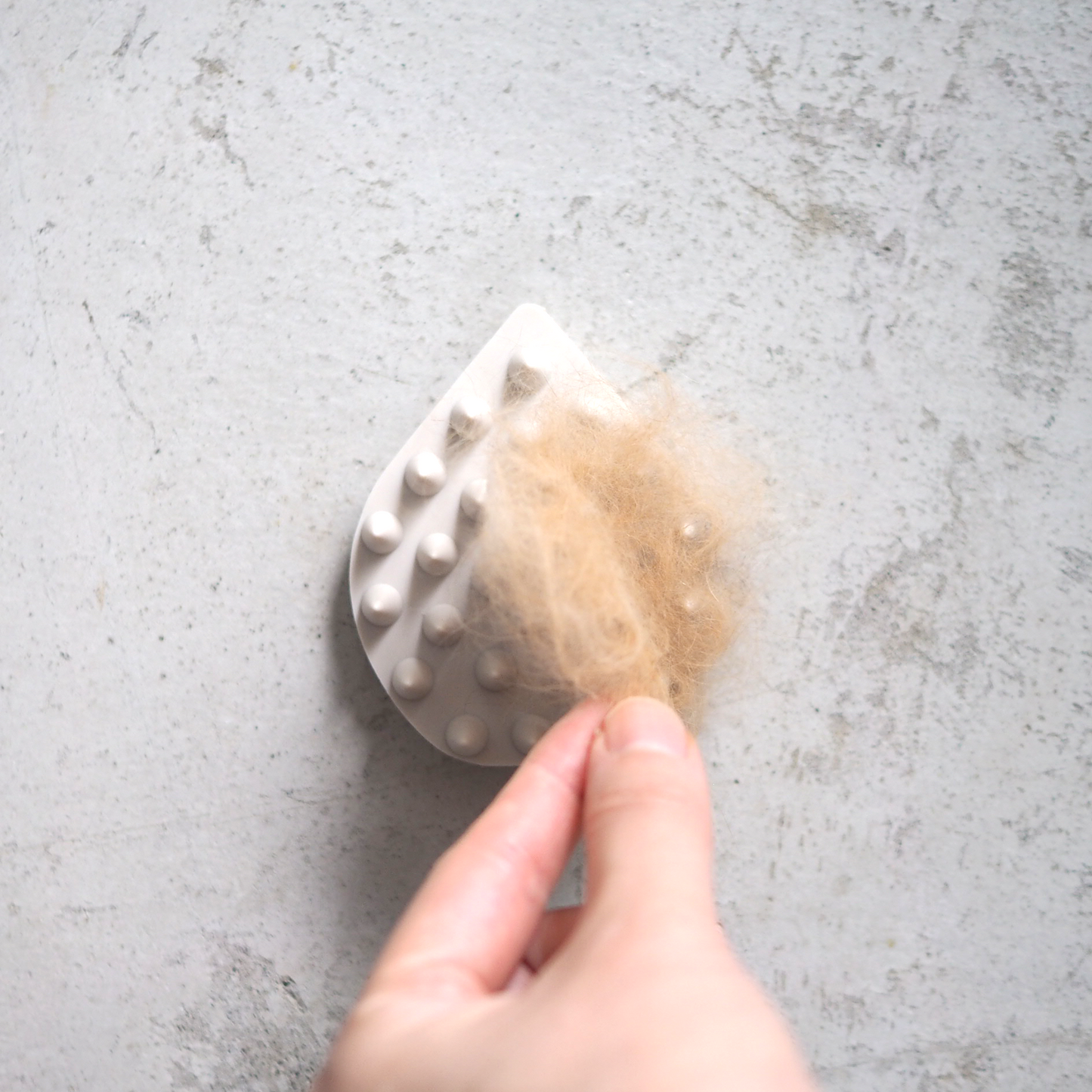 【OUTLET品】CAT SPA / SPIN COMB