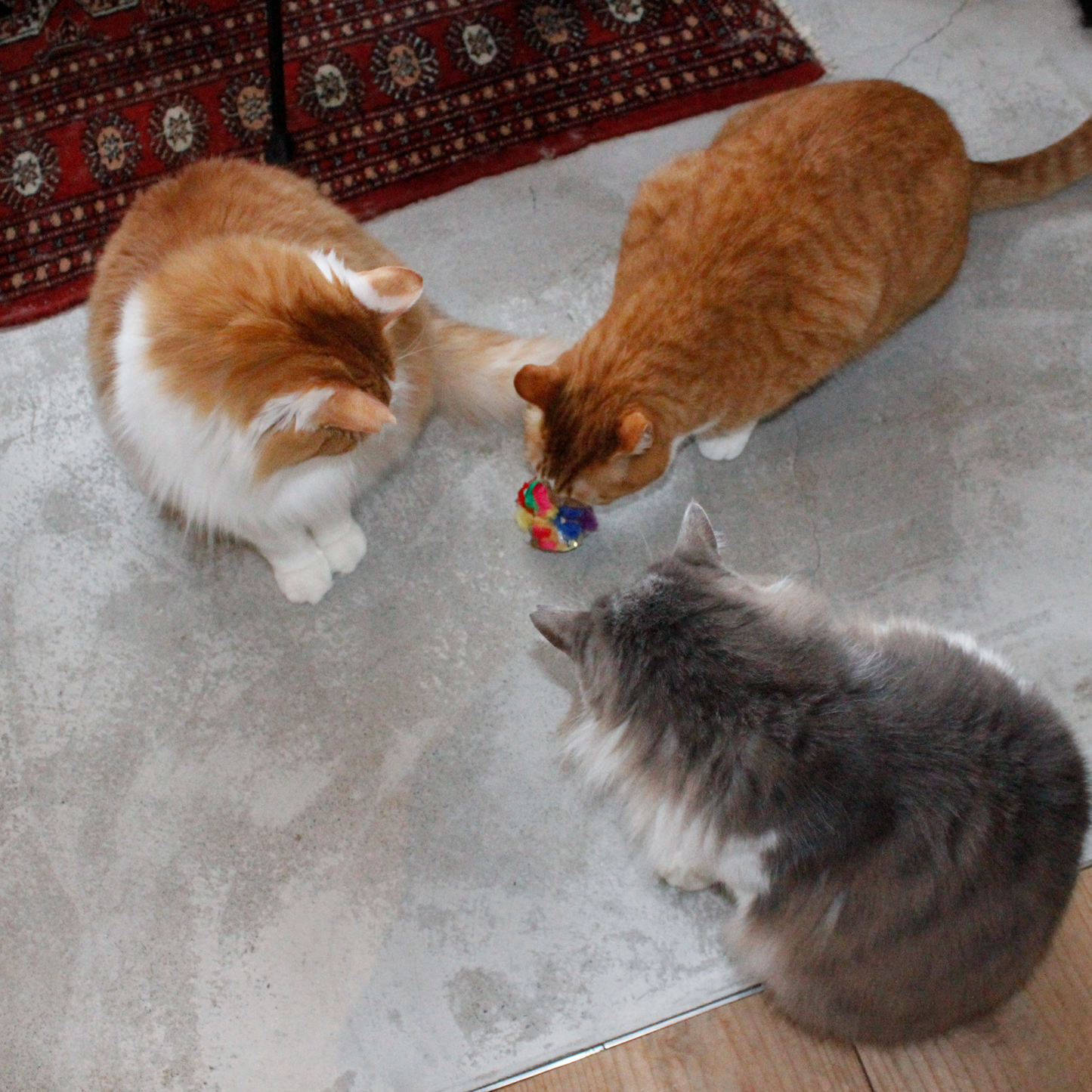 CRINKLE BALL