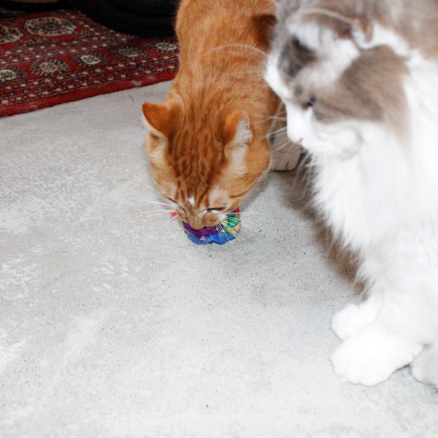 CRINKLE BALL