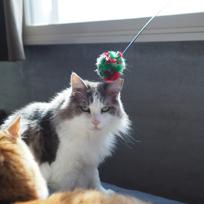 CRINKLE BALL Stuck on Kat Teazzz（吸盤タイプ）