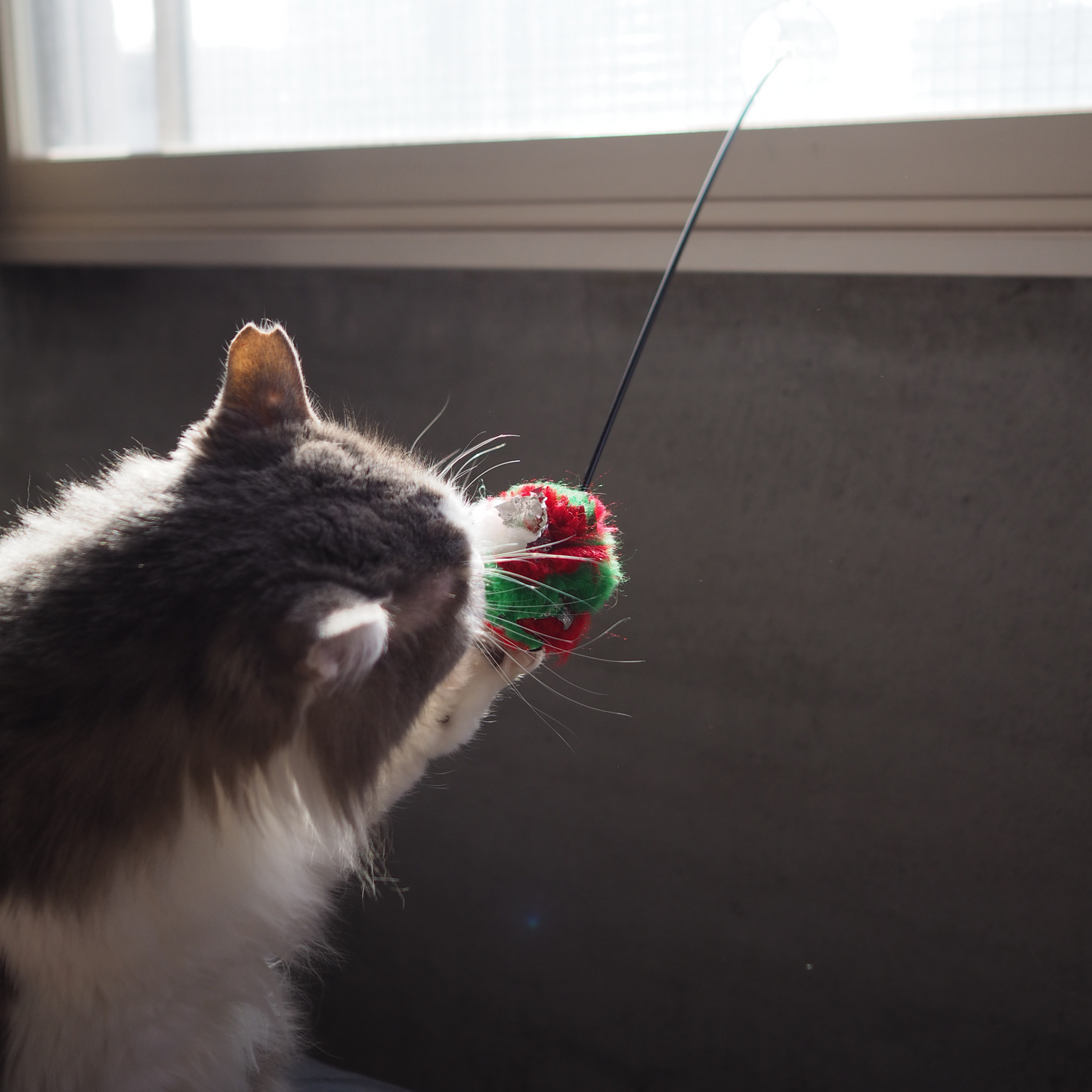 CRINKLE BALL Stuck on Kat Teazzz（吸盤タイプ）