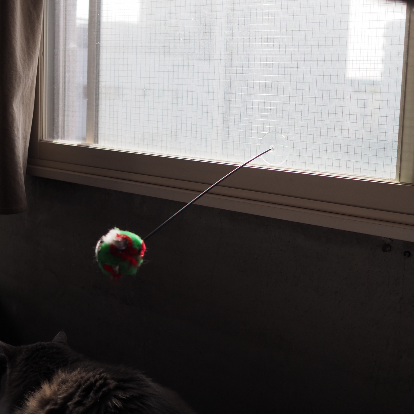 CRINKLE BALL Stuck on Kat Teazzz（吸盤タイプ）