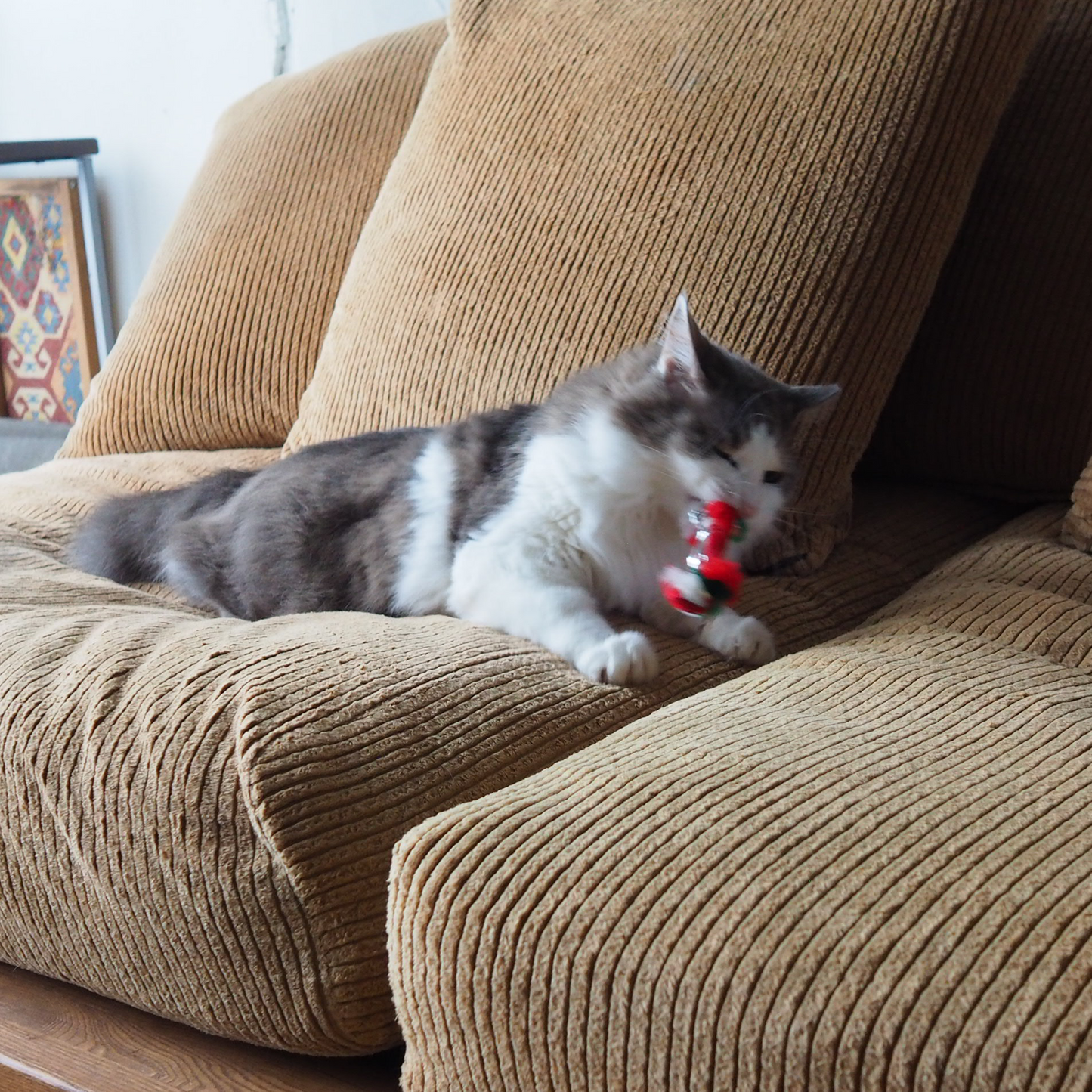 CRINKLE DUMBBELL