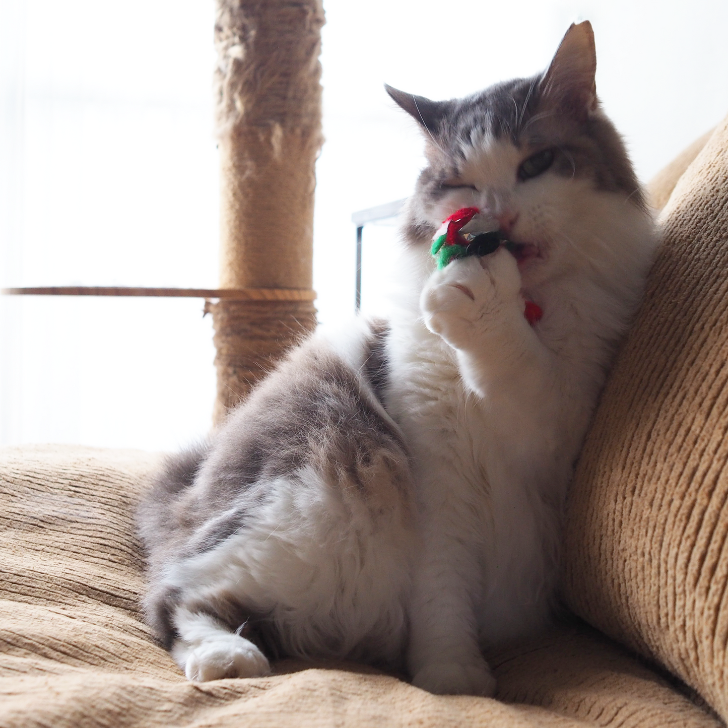 CRINKLE DUMBBELL