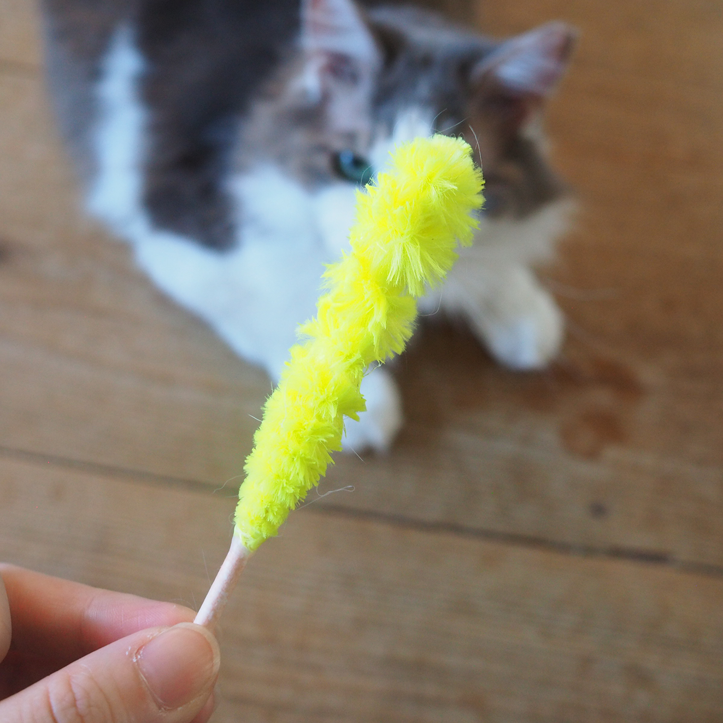 Roo’s Rock Candy
