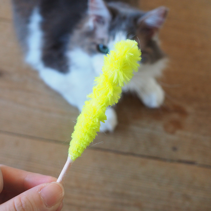 Roo’s Rock Candy