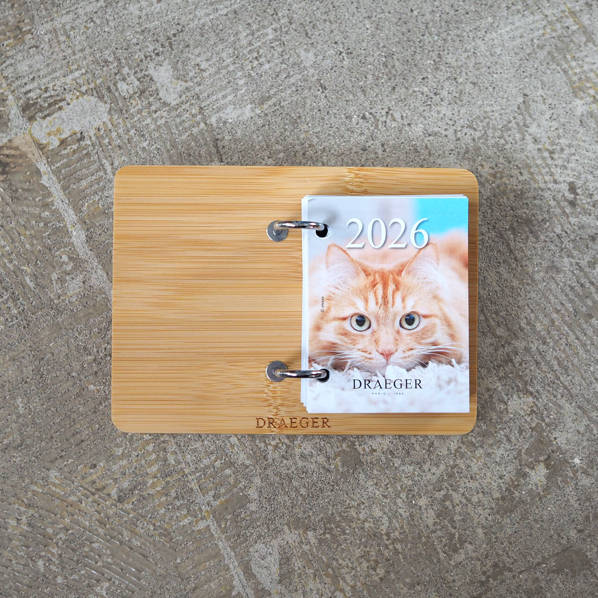 CATS 2026 Daily Calendar / DRAEGER PARIS（ドレジャーパリス