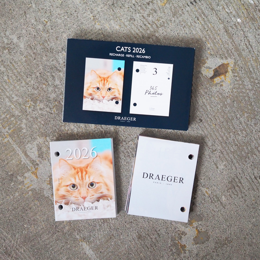[ Refill ] CATS 2026 Daily Calendar