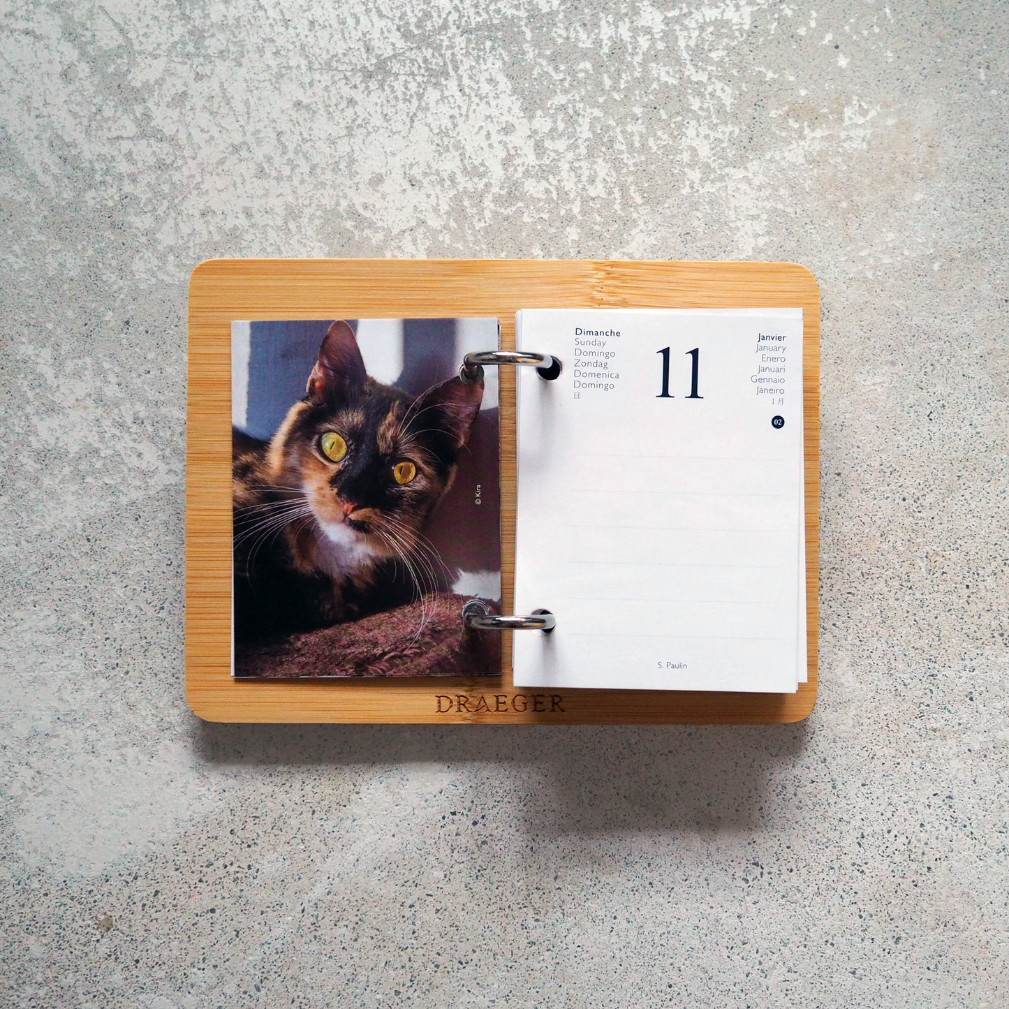 CATS 2026 Daily Calendar