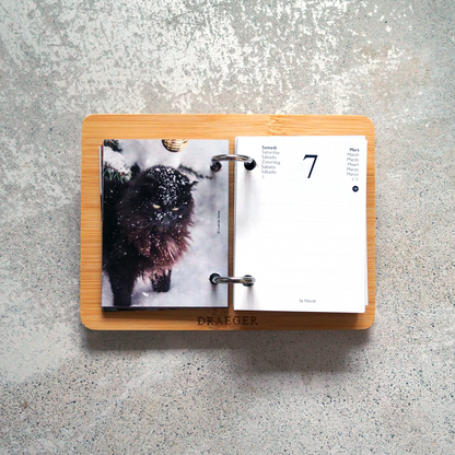 CATS 2026 Daily Calendar