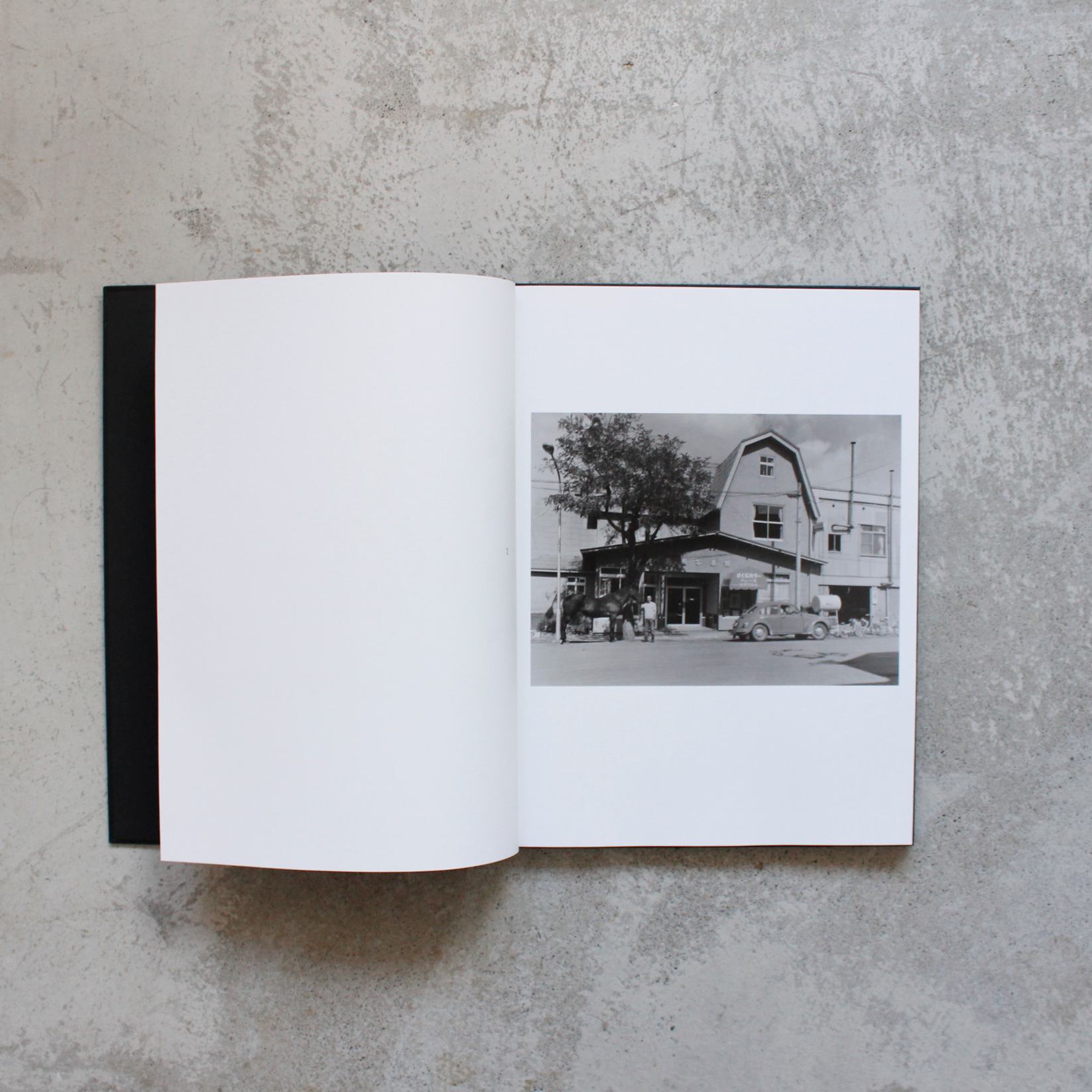 家族 FAMILY / 深瀬昌久 - フレーメンストア 家族 FAMILY / 深瀬昌久 - フレーメンストア