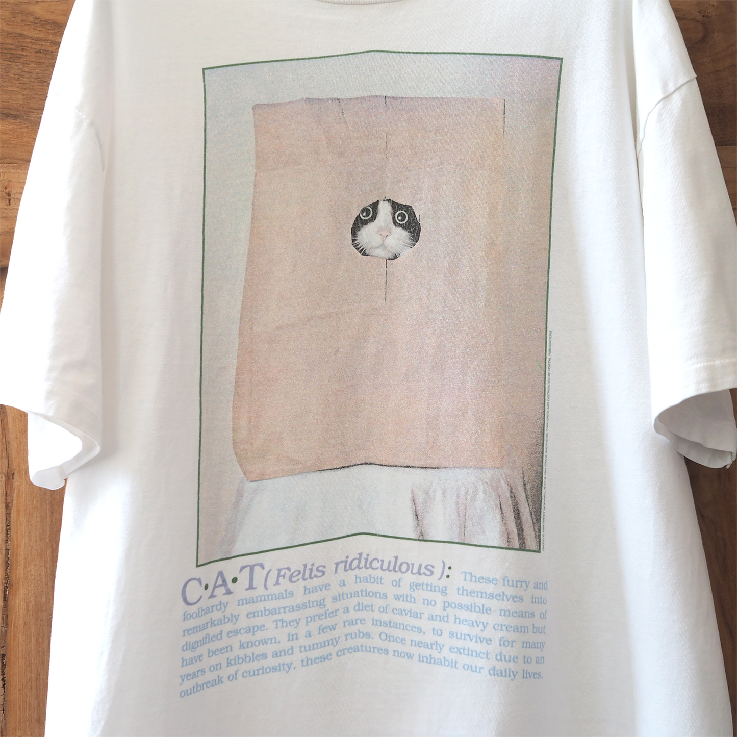 Felis Ridiculous Tee / 90s / Made in USA