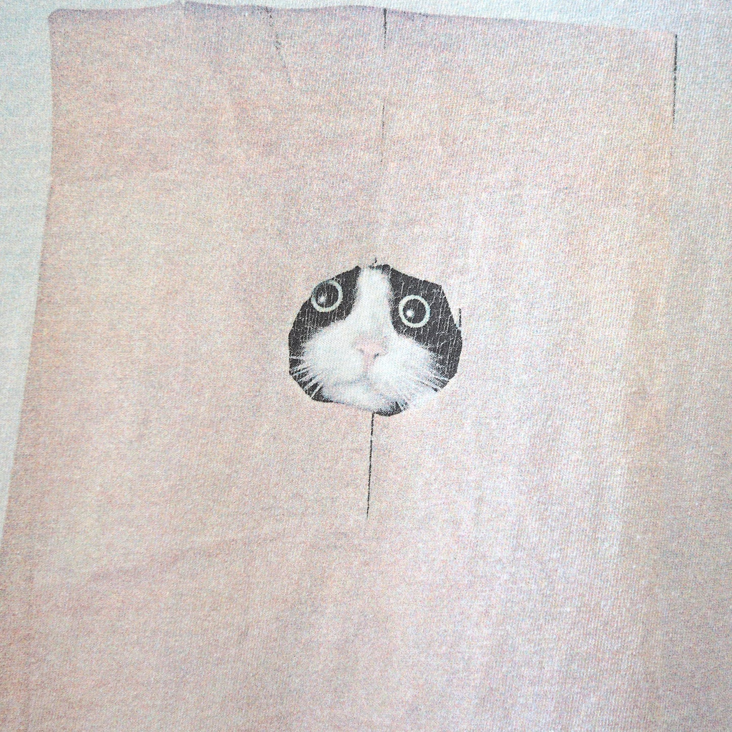 Felis Ridiculous Tee / 90s / Made in USA
