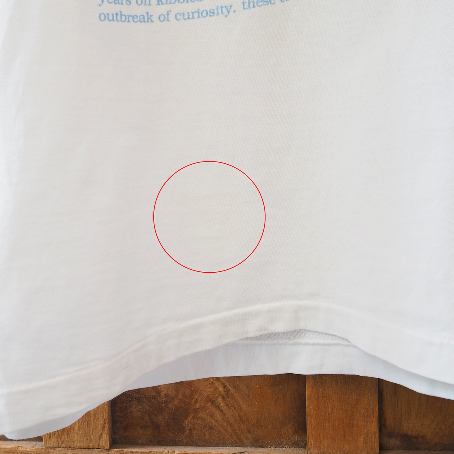 Felis Ridiculous Tee / 90s / Made in USA