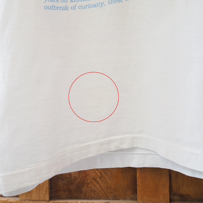 Felis Ridiculous Tee / 90s / Made in USA