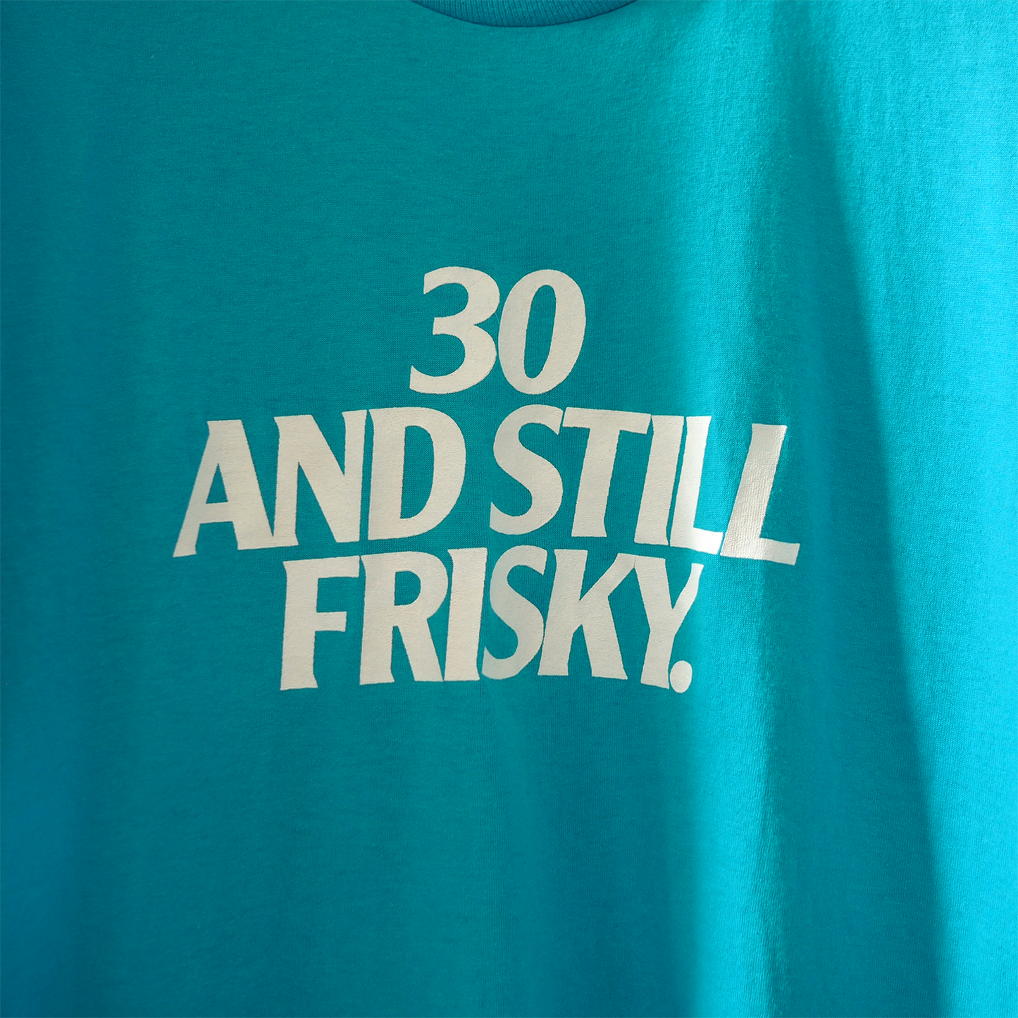 Friskies "30 and Still Frisky" Tee / 80s- / Made in USA