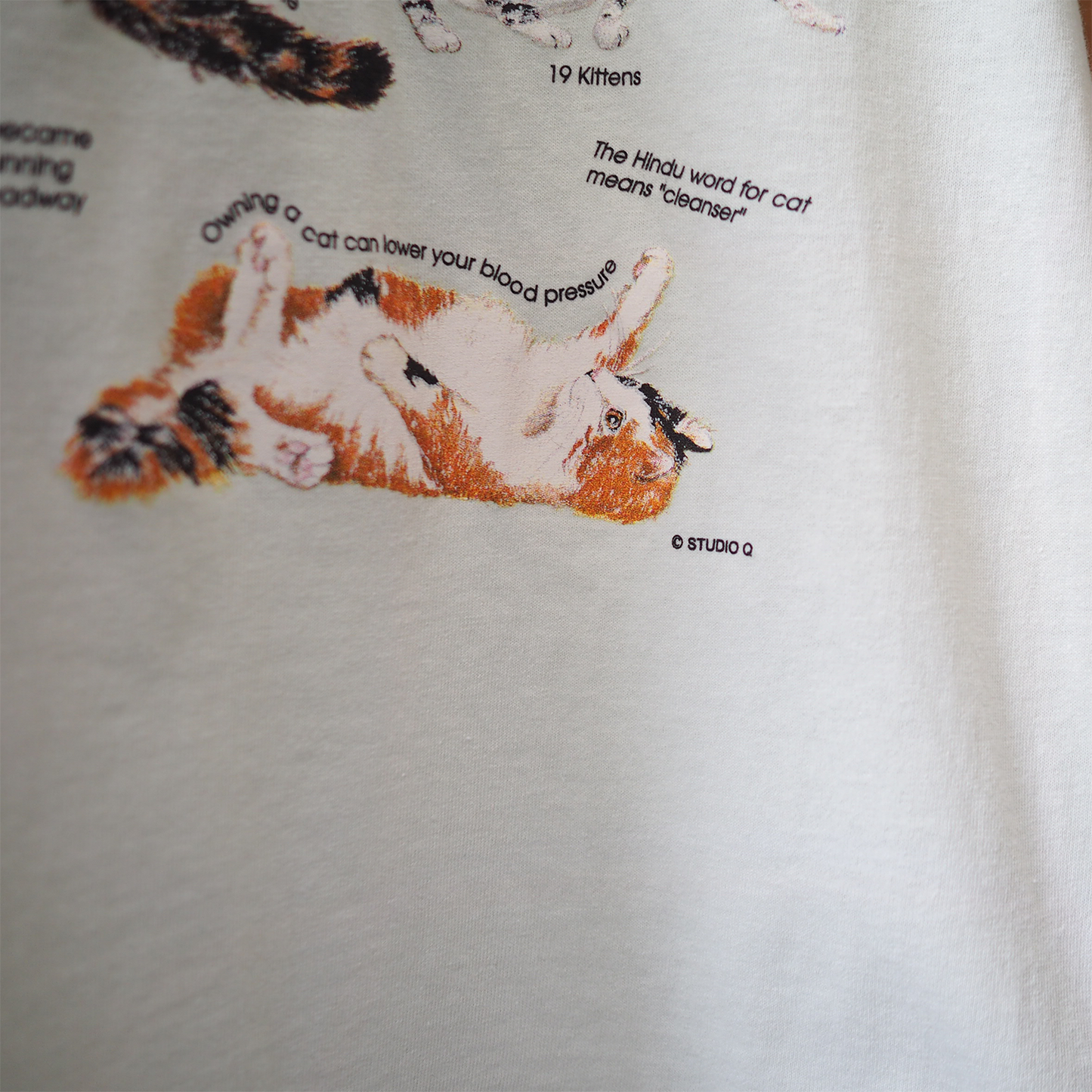 STUDIO Q "FUN CAT FACTS" Tee / 90s / Made in USA