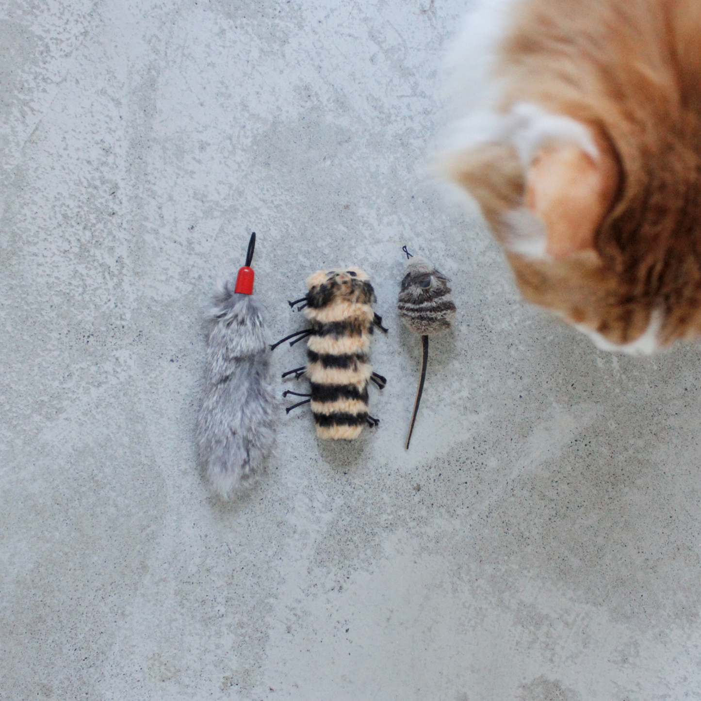 [ Refill ] Da Cat-A-Pilla
