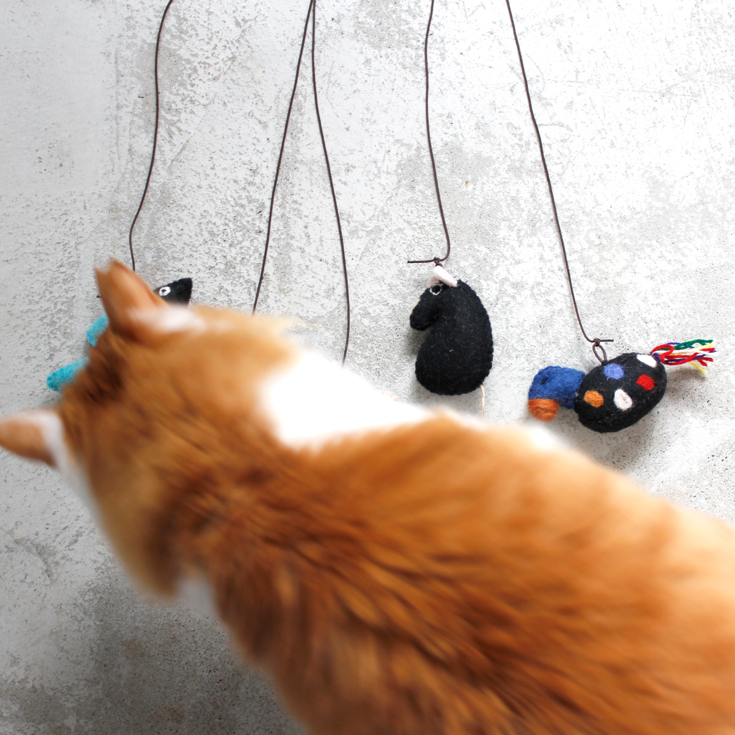 Felt Animals Cat Teaser