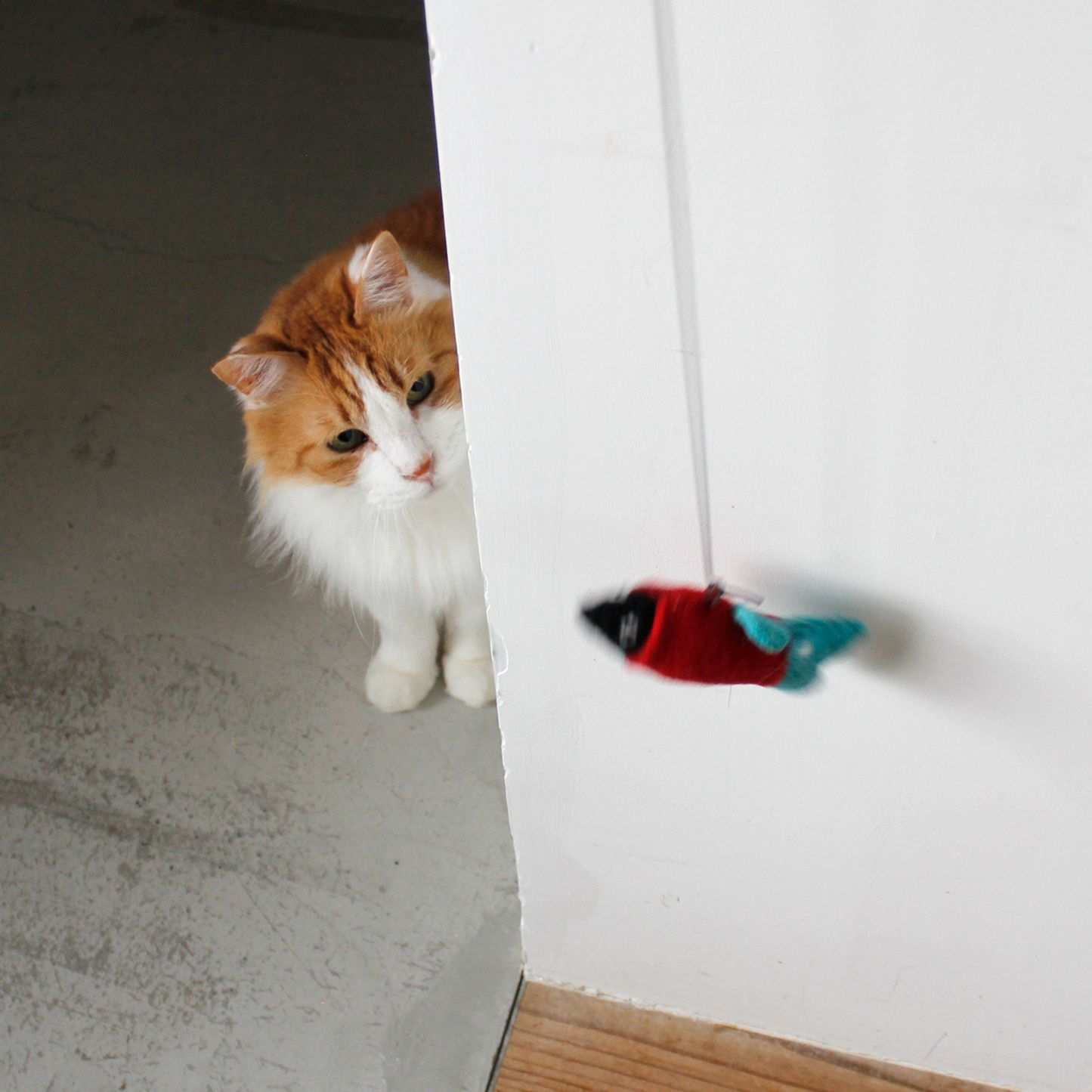 Felt Animals Cat Teaser