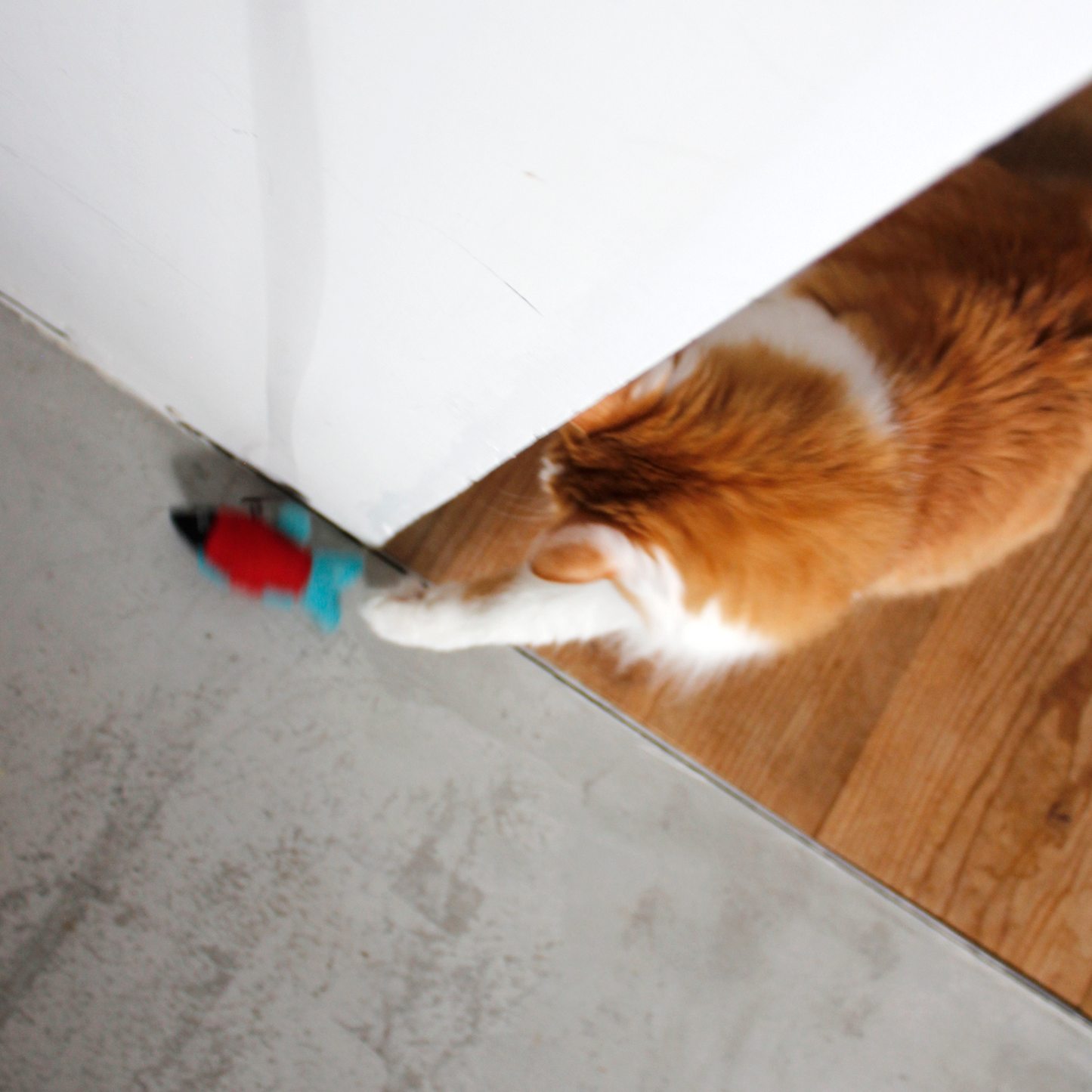 Felt Animals Cat Teaser